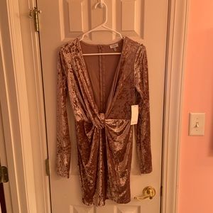 NWT Tobi Dress